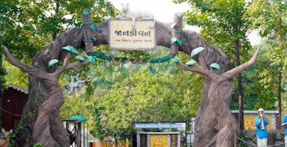 Janki Van, Navsari, Gujarat - Vushii.com Janki Van, Navsari, Gujarat - Vushii.com
